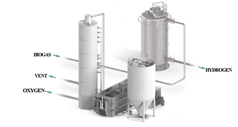Hydrogen Production from Biogas: Simulation and Pinch Analysis